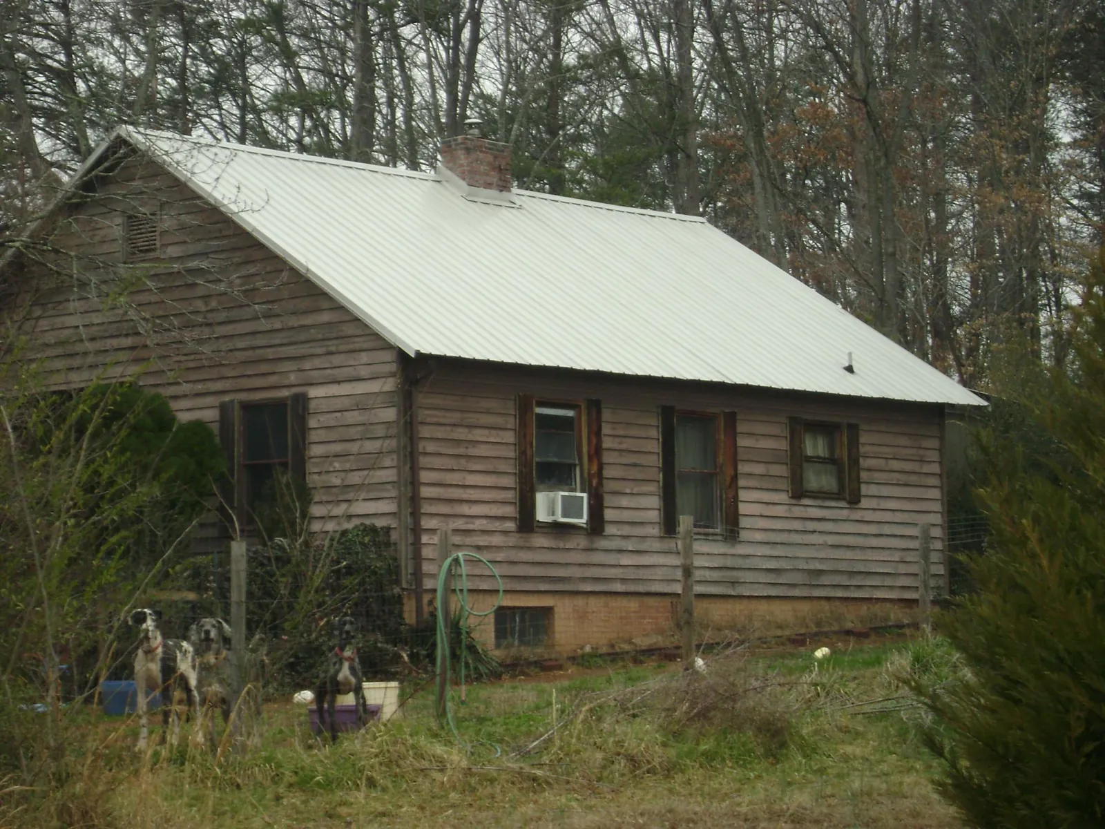 White metal roof on an old wood sided farmhouse, from a Asphalt Shingle Roof Repair job in Wellsville